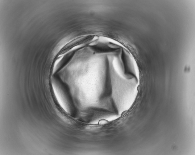 X0000093120051200710241311