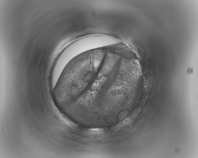X0000093120053200710241311