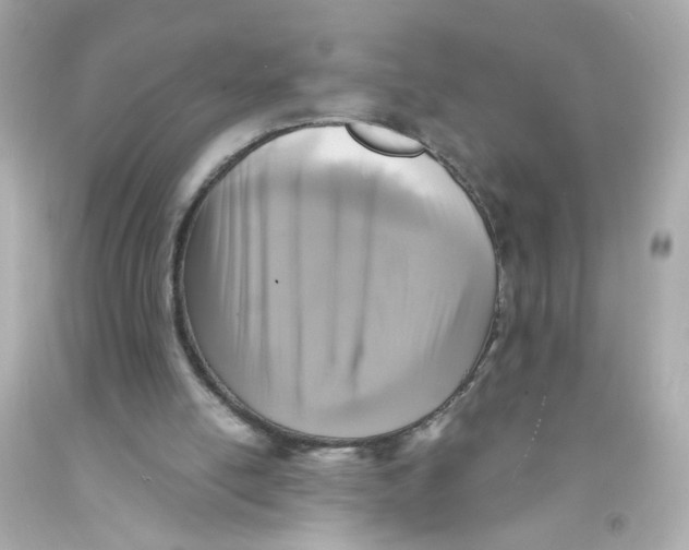 X0000093120054200710241311