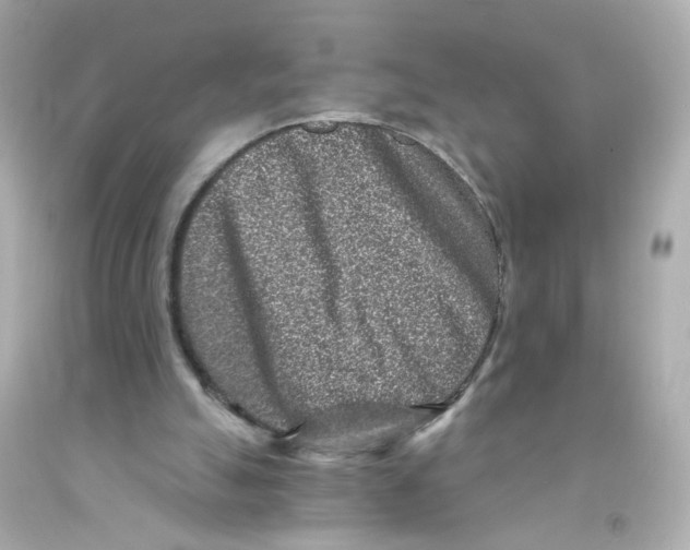 X0000093120055200710241311