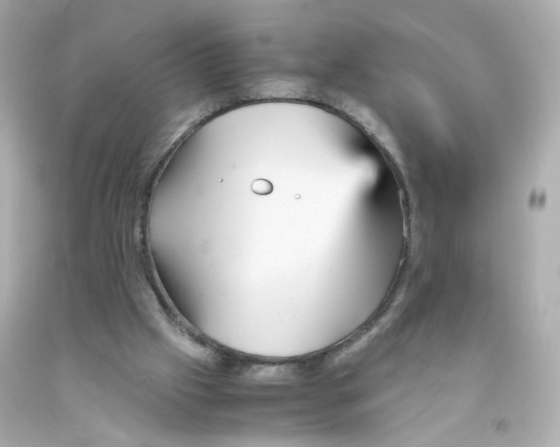 X0000093120057200710241311