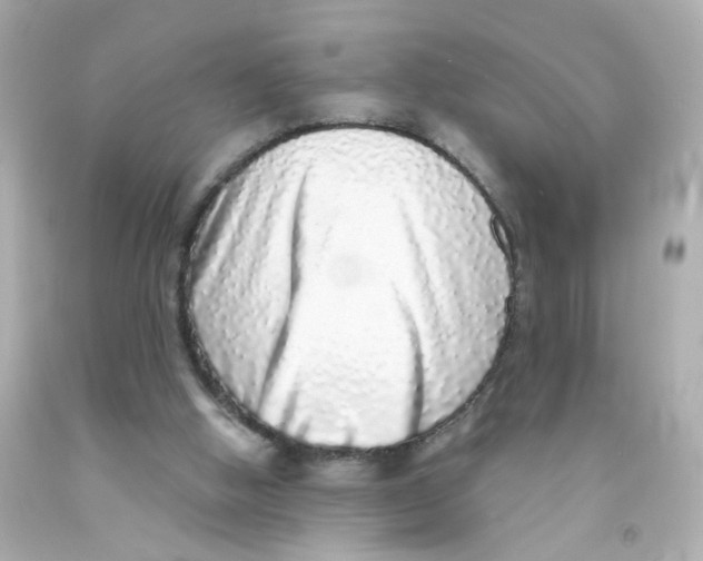 X0000093120058200710241311