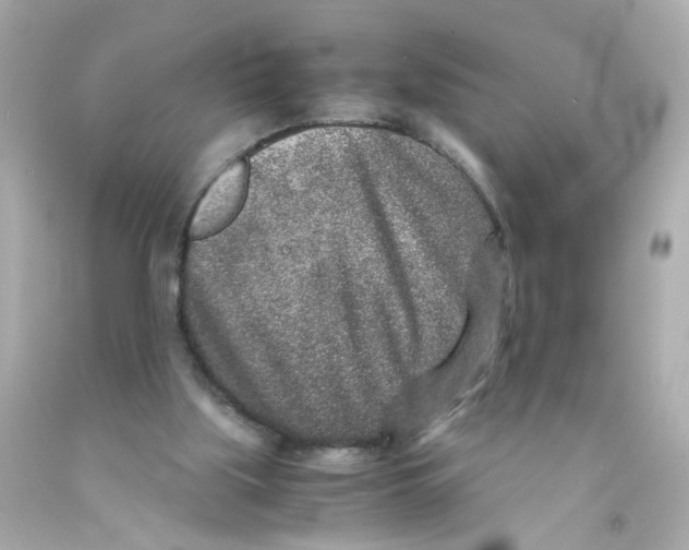 X0000093120059200710241311