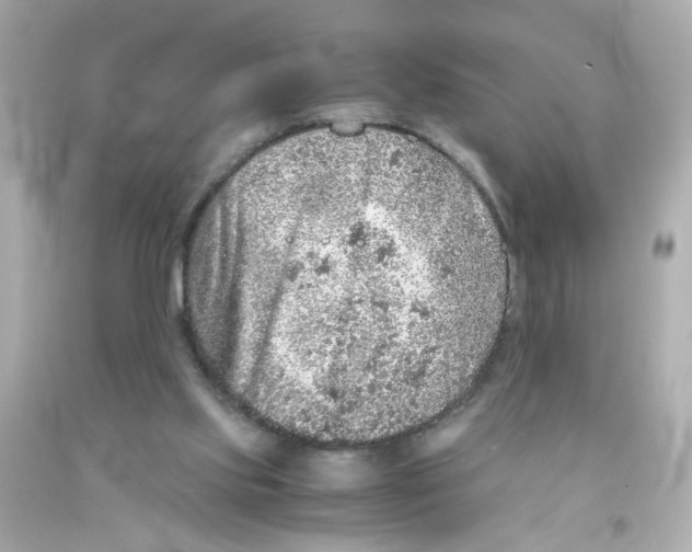 X0000093120061200710241311
