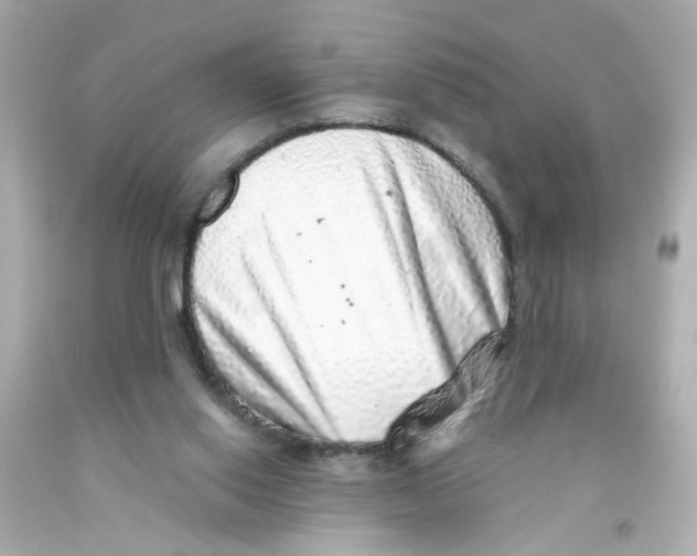 X0000093120062200710241311