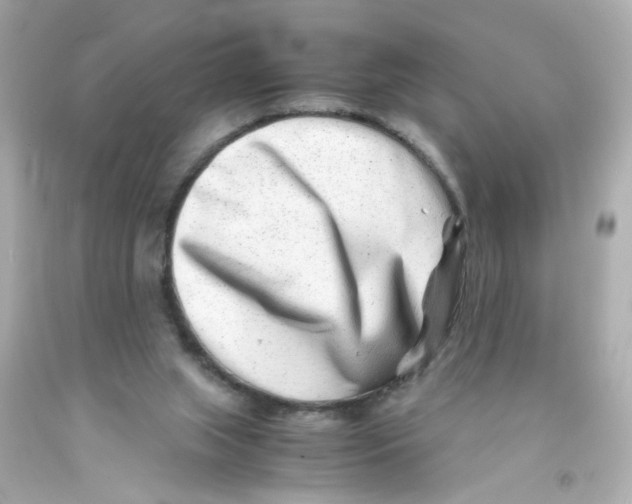 X0000093120063200710241311