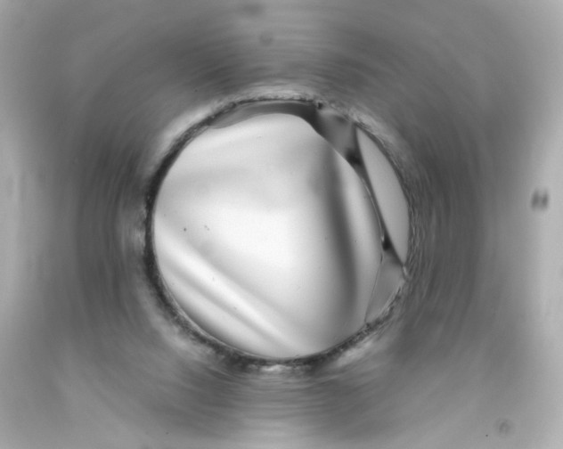 X0000093120064200710241311
