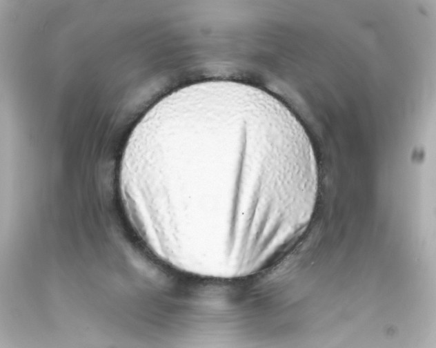 X0000093120066200710241311