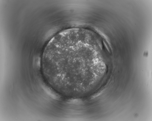 X0000093120067200710241311