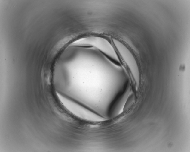 X0000093120068200710241311