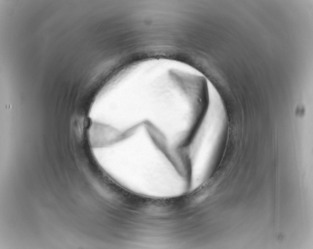 X0000093120070200710241311