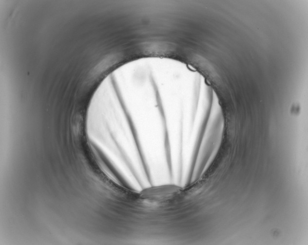 X0000093120071200710241311