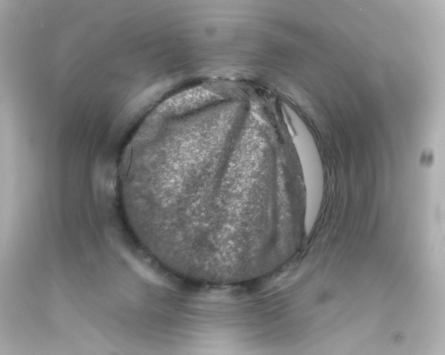 X0000093120072200710241311