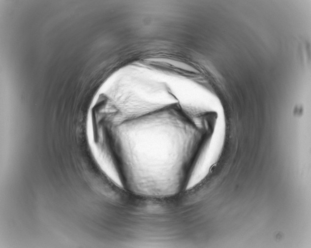 X0000093120073200710241311