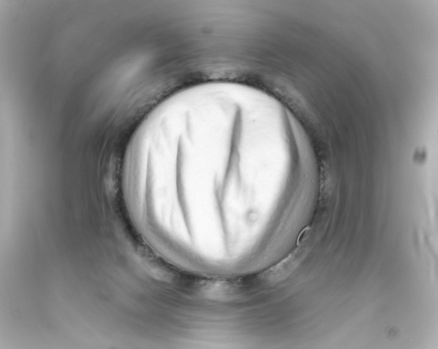 X0000093120074200710241311
