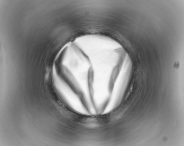 X0000093120075200710241311