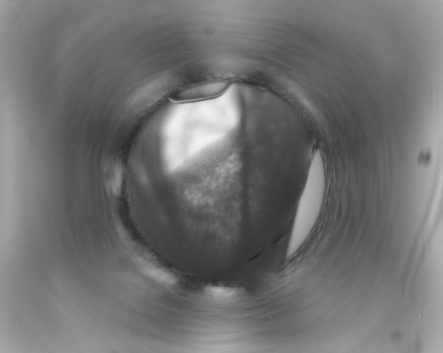 X0000093120076200710241311