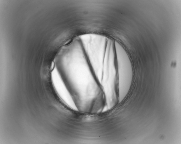 X0000093120077200710241311
