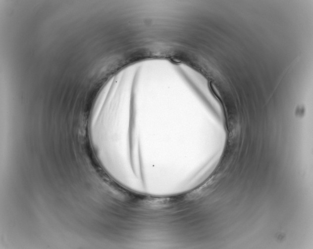 X0000093120078200710241311