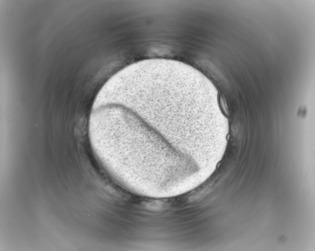 X0000093120079200710241311