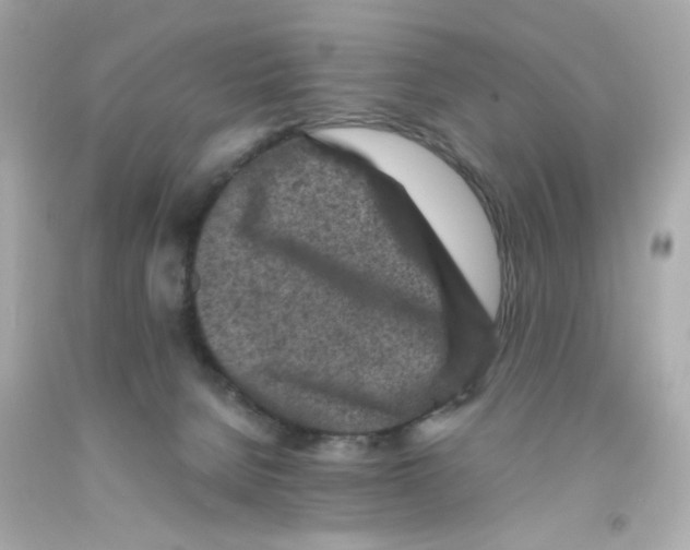 X0000093120080200710241311