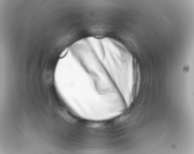 X0000093120081200710241311