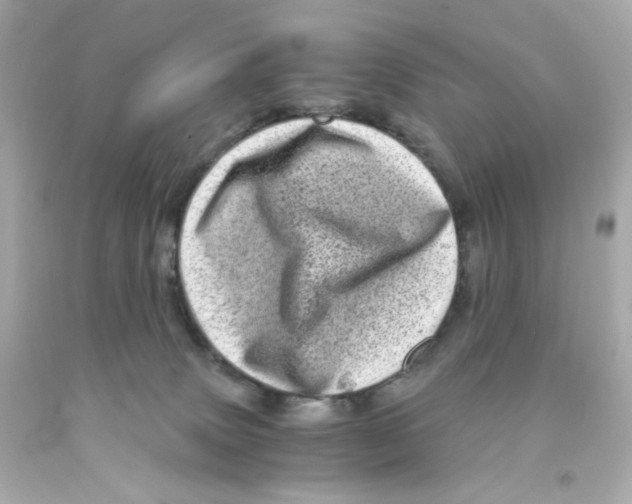 X0000093120083200710241311