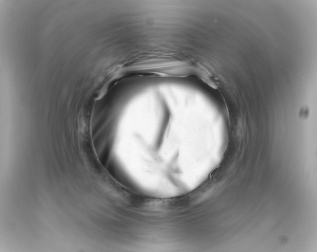 X0000093120084200710241311