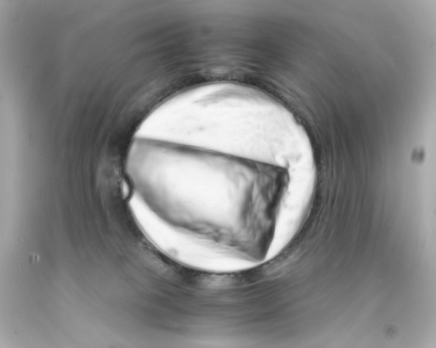 X0000093120085200710241311