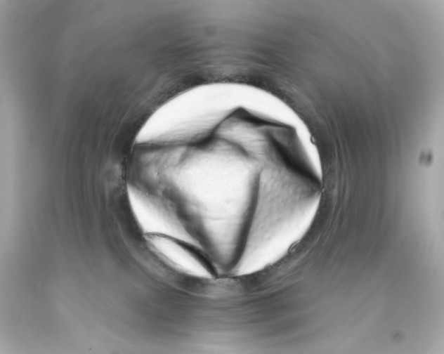 X0000093120087200710241311