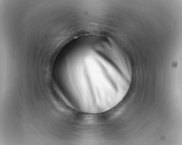X0000093120088200710241311