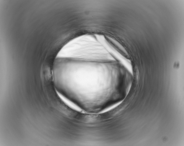 X0000093120089200710241311