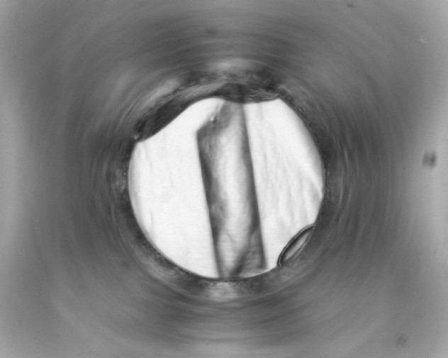 X0000093120091200710241311
