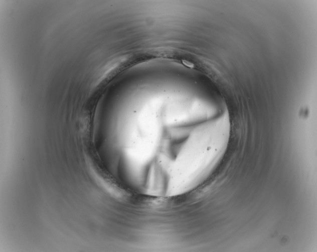 X0000093120092200710241311
