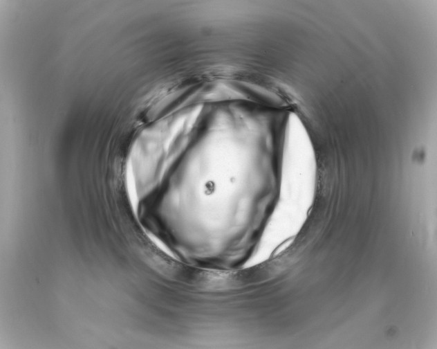 X0000093120093200710241311