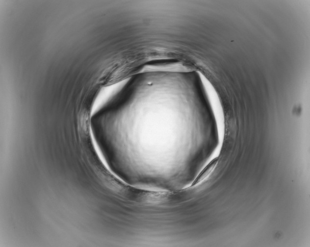 X0000093120094200710241312