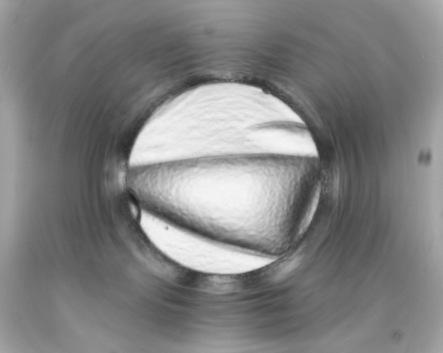 X0000093120095200710241312