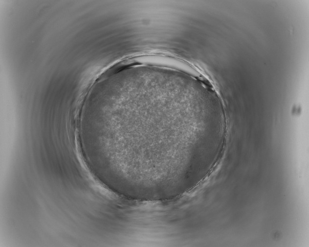 X0000093120097200710241311