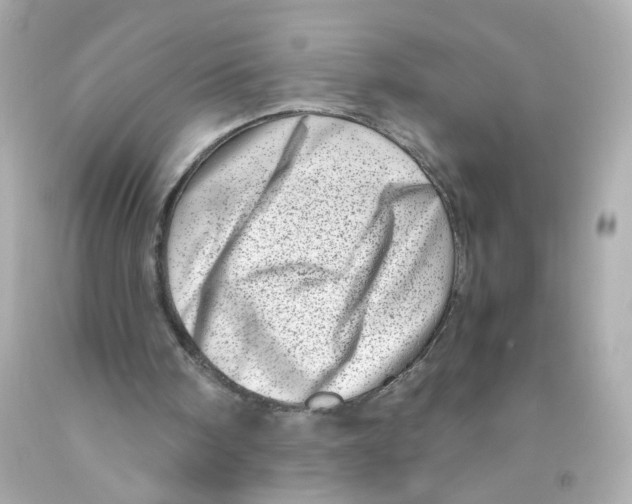 X0000093120098200710241311
