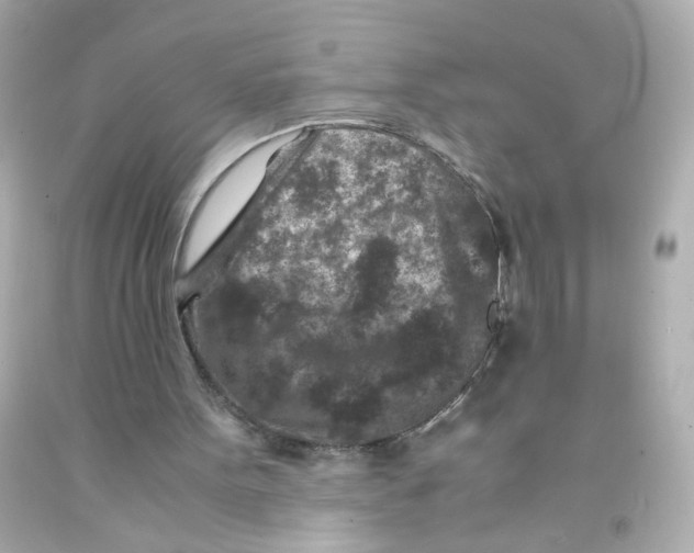 X0000093120099200710241311