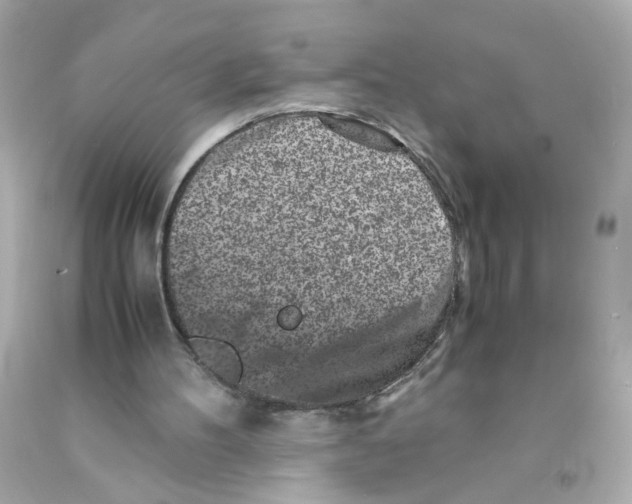 X0000093120100200710241311