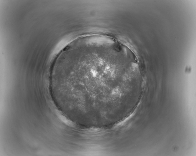 X0000093120101200710241311