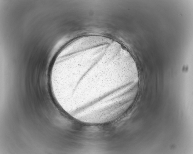 X0000093120102200710241311