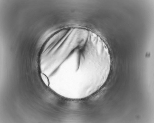 X0000093120103200710241311