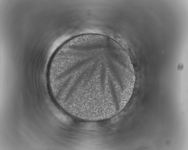 X0000093120104200710241311