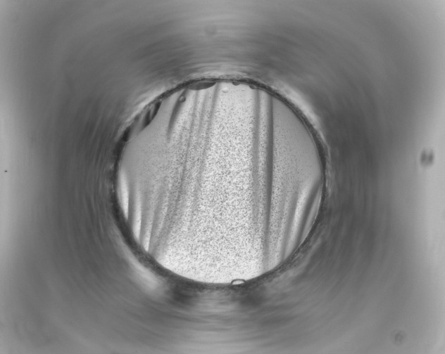 X0000093120105200710241311