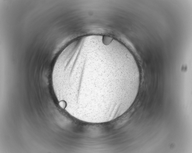 X0000093120106200710241311