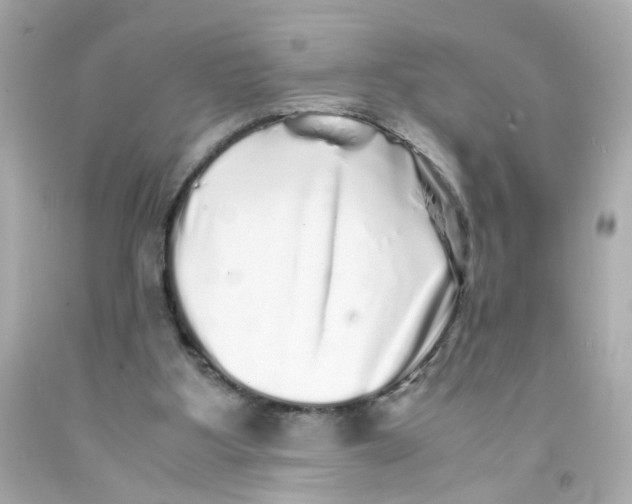 X0000093120107200710241311