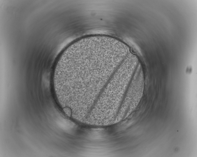 X0000093120108200710241311