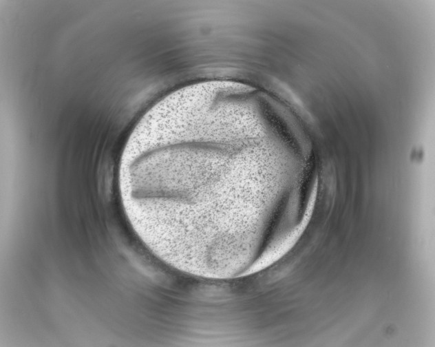 X0000093120110200710241311